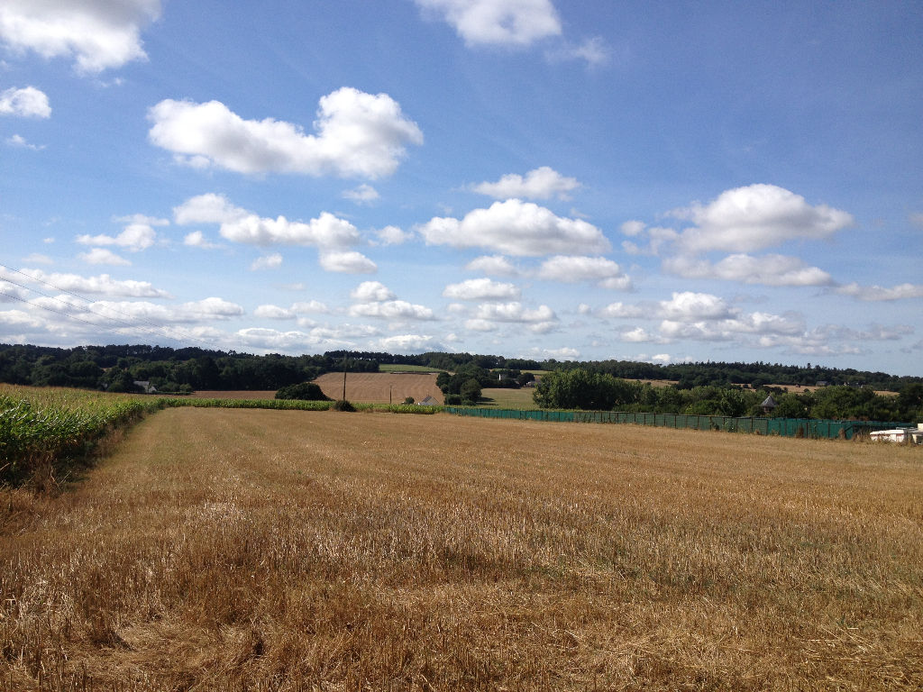 SAINT DOLAY-NIVILLAC, TERRAIN CONSTRUCTIBLE DE PLUS DE 4000 M² SAINT DOLAY-NIVILLAC, TERRAIN CONSTRUCTIBLE DE PLUS DE 4000 M²