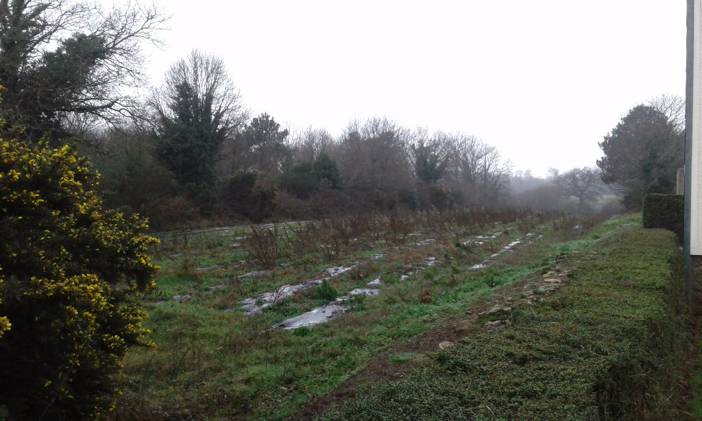 MARZAN, GRAND TERRAIN D'ENVIRON 8 250 M² DONT 1250 M² CONSTRUCTIBLE, BRETAGNE SUD - 18 KMS DES PLAGES, MARZAN, GRAND TERRAIN D'ENVIRON 8 250 M² DONT 1250 M² CONSTRUCTIBLE, BRETAGNE SUD - 18 KMS DES PLAGES,