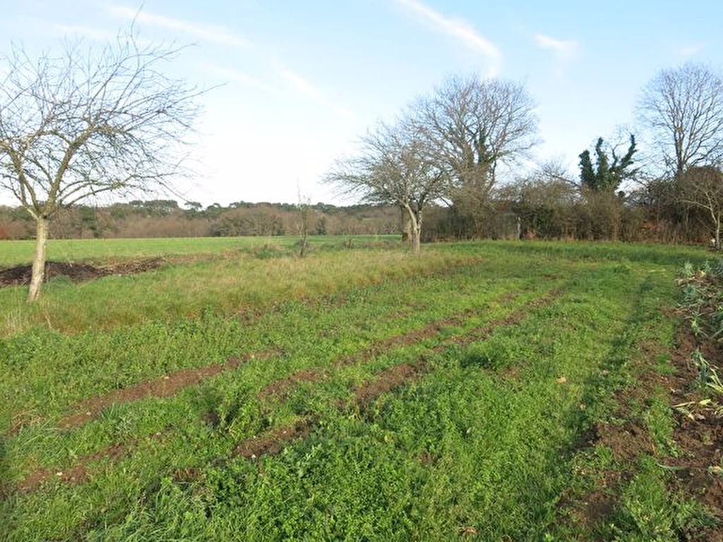 Terrain à bâtir 56130 FEREL au calme avec vue dégagée sur la campagne MORBIHAN BRETAGNE SUD Terrain à bâtir 56130 FEREL au calme avec vue dégagée sur la campagne MORBIHAN BRETAGNE SUD