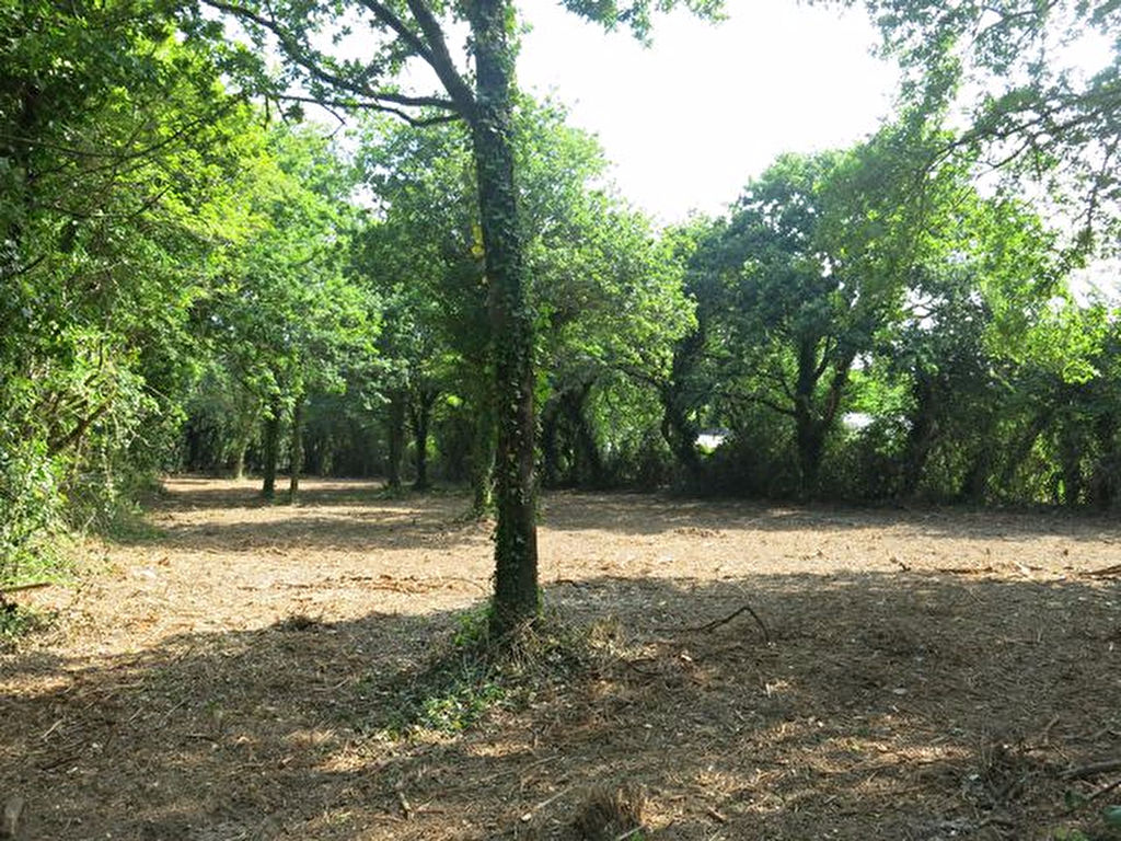 GRAND TERRAIN CONSTRUCTIBLE A VENDRE AU CALME A PIED DES COMMERCES 56760 PENESTIN COMMUNE LITTORALE EN BRETAGNE SUD GRAND TERRAIN CONSTRUCTIBLE A VENDRE AU CALME A PIED DES COMMERCES 56760 PENESTIN COMMUNE LITTORALE EN BRETAGNE SUD