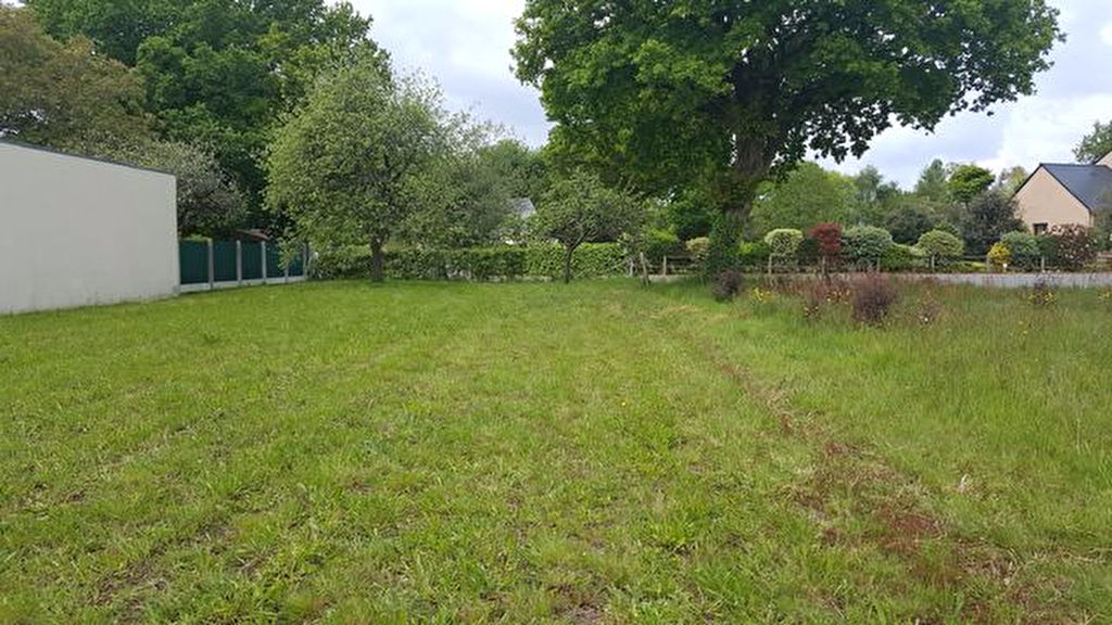 56130 FEREL EN BRETAGNE SUD TERRAIN A VENDRE 56130 FEREL EN BRETAGNE SUD TERRAIN A VENDRE