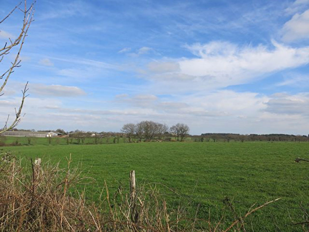 Entre FEREL et LA ROCHE-BERNARD, terrain à bâtir de 1235 m² avec belle vue dégagée sur la campagne Entre FEREL et LA ROCHE-BERNARD, terrain à bâtir de 1235 m² avec belle vue dégagée sur la campagne