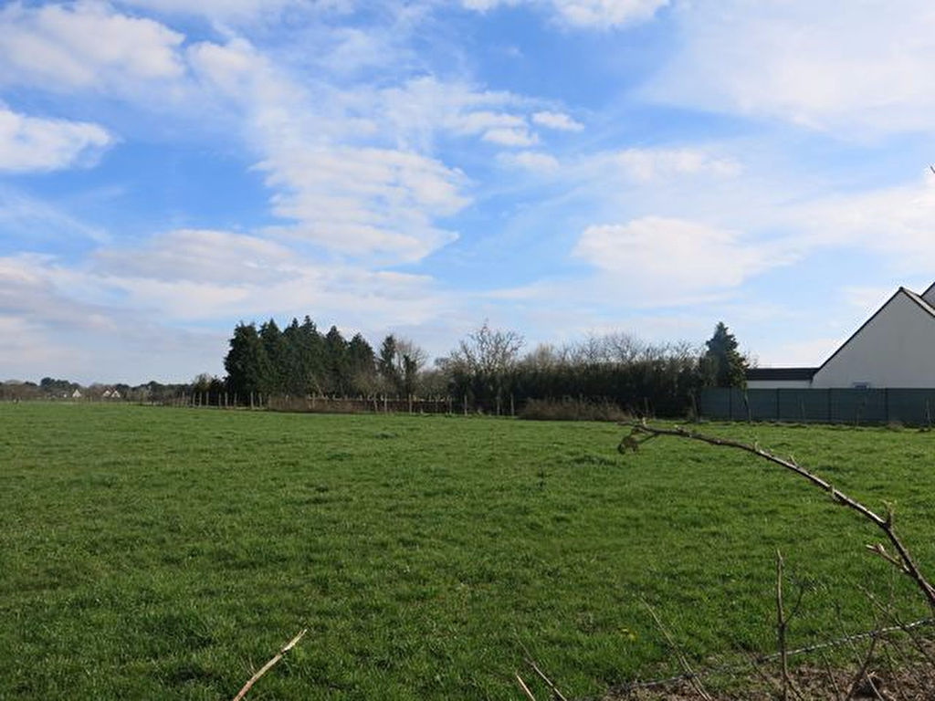 Terrain constructible à vendre 56130 FEREL au calme de la campagne Terrain constructible à vendre 56130 FEREL au calme de la campagne