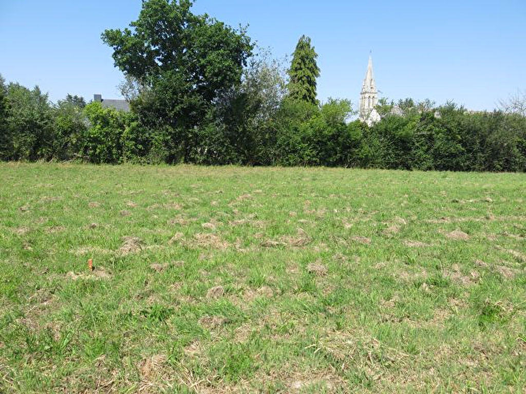 Terrain à bâtir de 738 m² A VENDRE 56130 FEREL à pied du centre des commerces et des écoles Terrain à bâtir de 738 m² A VENDRE 56130 FEREL à pied du centre des commerces et des écoles