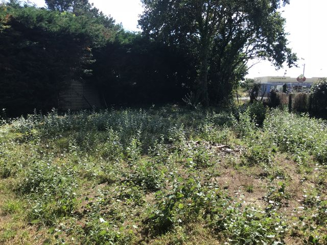 Terrain constructible de 587 m² à vendre 56760 PENESTIN entre plages et commerces MORBIHAN BRETAGNE SUD Terrain constructible de 587 m² à vendre 56760 PENESTIN entre plages et commerces MORBIHAN BRETAGNE SUD