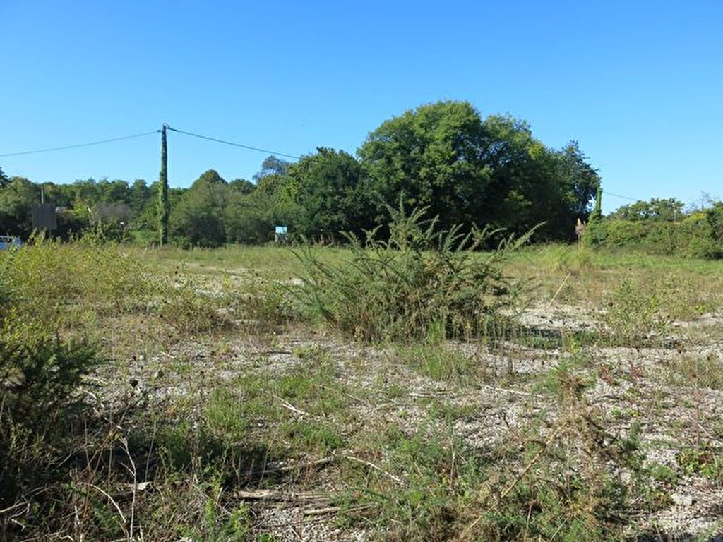 A proximité du joli petit port de Tréhiguier un terrain à bâtir de 679 m² desservi par tous les réseaux 567620 PENESTIN A proximité du joli petit port de Tréhiguier un terrain à bâtir de 679 m² desservi par tous les réseaux 567620 PENESTIN