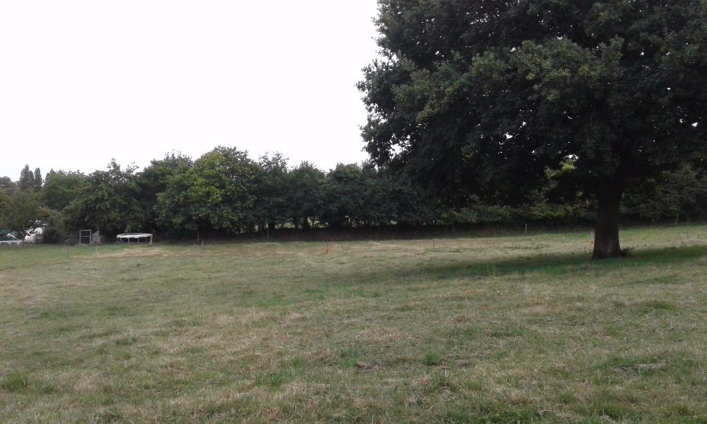LA ROCHE BERNARD/MARZAN, TERRAIN A BATIR AU CALME DE 958 M² HORS LOTISSEMENT - BRETAGNE SUD LA ROCHE BERNARD/MARZAN, TERRAIN A BATIR AU CALME DE 958 M² HORS LOTISSEMENT - BRETAGNE SUD