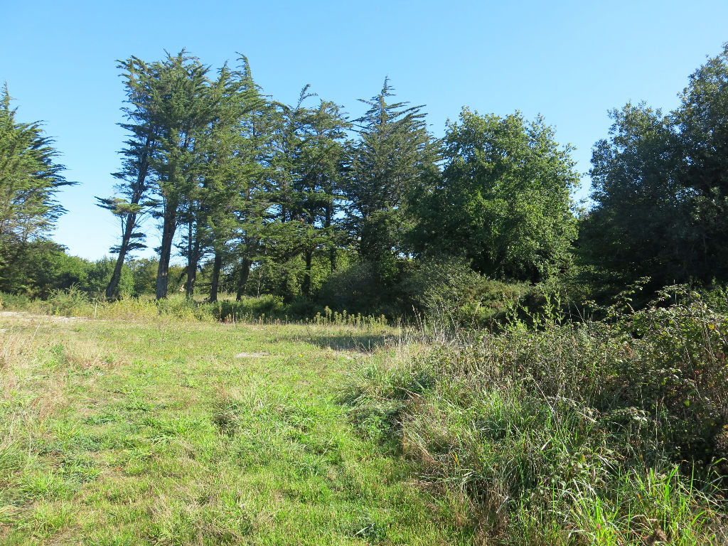 Terrain constructible avec partie agricole A VENDRE 56760 Penestin proche du port de Tréhiguier Terrain constructible avec partie agricole A VENDRE 56760 Penestin proche du port de Tréhiguier