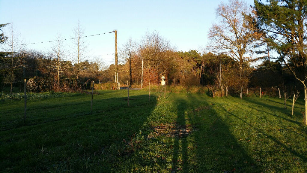 Terrain à bâtir à FEREL, 5 minutes de l'axe NANTES VANNES Terrain à bâtir à FEREL, 5 minutes de l'axe NANTES VANNES