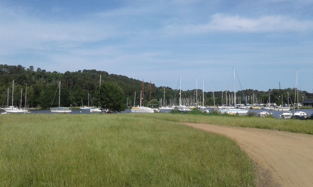 A 35 MINUTES DE VANNES TERRAIN A VENDRE A 2 A 35 MINUTES DE VANNES TERRAIN A VENDRE A 2