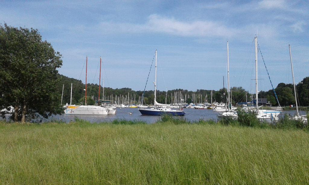 NIVILLAC, AU CALME, TERRAIN DE 934 M² VIABILISE, BRETAGNE SUD, 7 MIN AXE NANTES-VANNES NIVILLAC, AU CALME, TERRAIN DE 934 M² VIABILISE, BRETAGNE SUD, 7 MIN AXE NANTES-VANNES