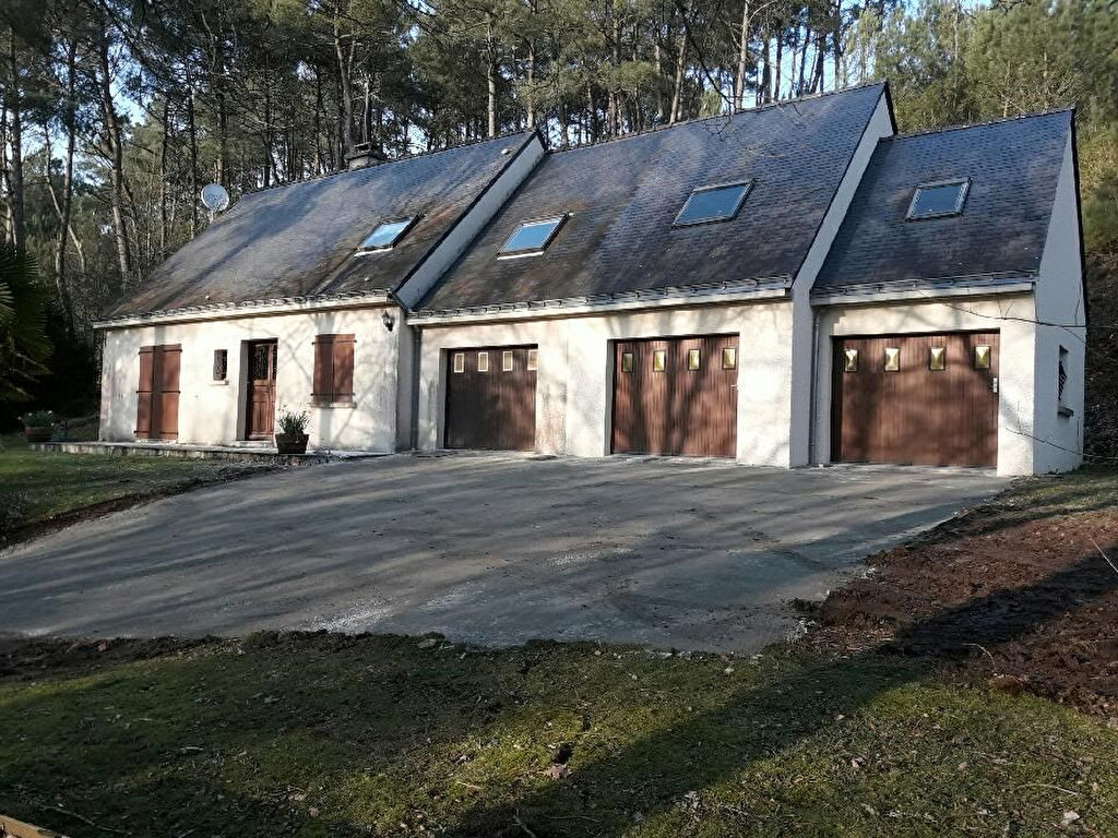 NIVILLAC, BORD DE VILAINE, MAISON + PARC DE 2 HECTARES, BRETAGNE SUD, 20 KM DES PLAGES NIVILLAC, BORD DE VILAINE, MAISON + PARC DE 2 HECTARES, BRETAGNE SUD, 20 KM DES PLAGES