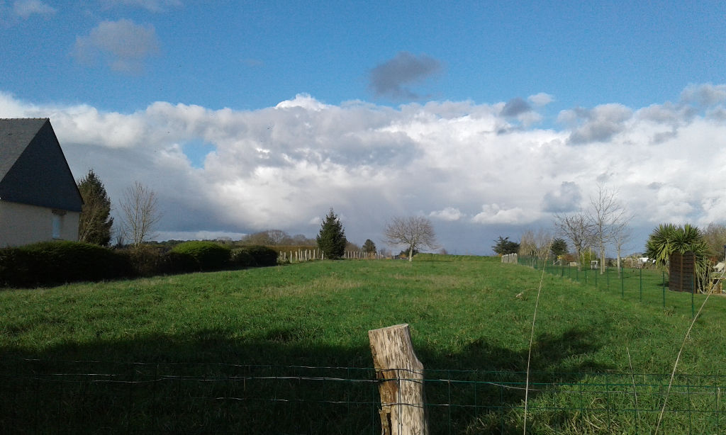 NIVILLAC PROCHE BOURG, TERRAIN A BATIR 2403 M² AU CALME, BRETAGNE SUD, 18 KMS PLAGES NIVILLAC PROCHE BOURG, TERRAIN A BATIR 2403 M² AU CALME, BRETAGNE SUD, 18 KMS PLAGES