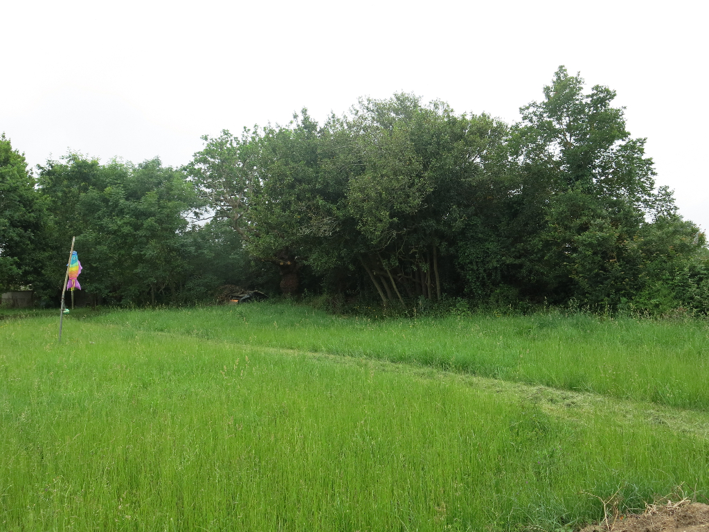 PENESTIN, TERRAIN A BATIR DE 981 M², 2 KMS DES PLAGES-COMMERCES, PENESTIN, TERRAIN A BATIR DE 981 M², 2 KMS DES PLAGES-COMMERCES,