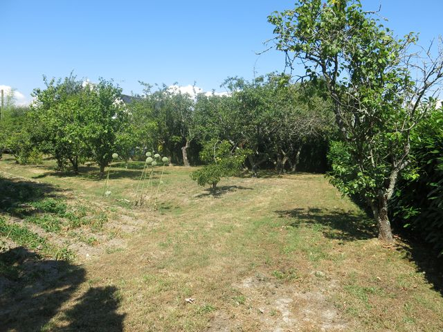 Proche commerces et écoles, terrain à bâtir de 471 m² 56130 FEREL A VENDRE MORBIHAN à 20 minutes de GUERANDE Proche commerces et écoles, terrain à bâtir de 471 m² 56130 FEREL A VENDRE MORBIHAN à 20 minutes de GUERANDE