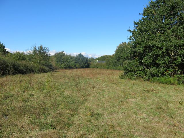 GRAND TERRAIN CONSTRUCTIBLE A VENDRE SUR PENESTIN 56760 EN MORBIHAN SUD GRAND TERRAIN CONSTRUCTIBLE A VENDRE SUR PENESTIN 56760 EN MORBIHAN SUD