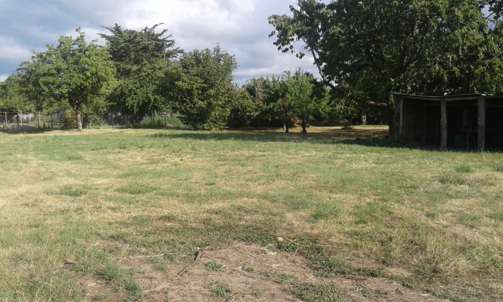 SAINT DOLAY-BOURG, TERRAIN 1580 M² TOTALEMENT CONSTRUCTIBLE TOUT A L'EGOUT, 15 MIN DE REDON - 15 MIN AXE NANTES-VANNES SAINT DOLAY-BOURG, TERRAIN 1580 M² TOTALEMENT CONSTRUCTIBLE TOUT A L'EGOUT, 15 MIN DE REDON - 15 MIN AXE NANTES-VANNES