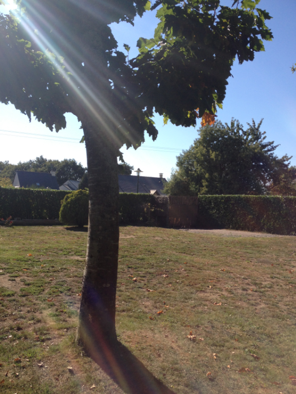 ARZAL BOURG, EN IMPASSE, TERRAIN A BATIR 412 M² VIABILISE, ARZAL BOURG, EN IMPASSE, TERRAIN A BATIR 412 M² VIABILISE,