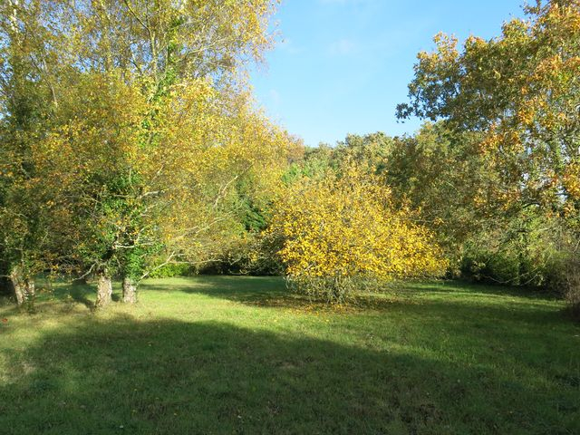 Terrain agricole de 2330 m² A VENDRE sur la commune d' Asserac, proche Penestin, pour stationnement camping-car ou jardin d'agrément Terrain agricole de 2330 m² A VENDRE sur la commune d' Asserac, proche Penestin, pour stationnement camping-car ou jardin d'agrément