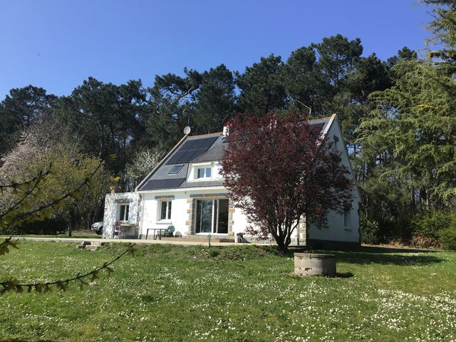 Propriété d'1,6 hectares avec deux habitations et un hangar A VENDRE PENESTIN MORBIHAN SUD BRETAGNE Propriété d'1,6 hectares avec deux habitations et un hangar A VENDRE PENESTIN MORBIHAN SUD BRETAGNE