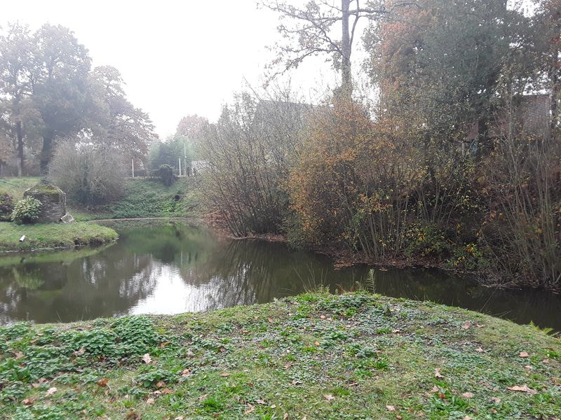 MARZAN, TERRAIN AVEC ETANG DE 3317 M², A 1,5 KMS DE L'AXE NANTES-VANNES, BRETAGNE SUD, MARZAN, TERRAIN AVEC ETANG DE 3317 M², A 1,5 KMS DE L'AXE NANTES-VANNES, BRETAGNE SUD,