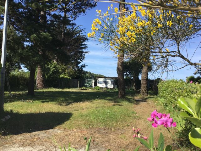 Terrain de loisirs clos et arboré de 617 m² à vendre à 1 km du port de Tréhiguier Penestin 56760 Terrain de loisirs clos et arboré de 617 m² à vendre à 1 km du port de Tréhiguier Penestin 56760