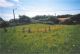 Terrain a vendre entre plages et commerces de P�nestin