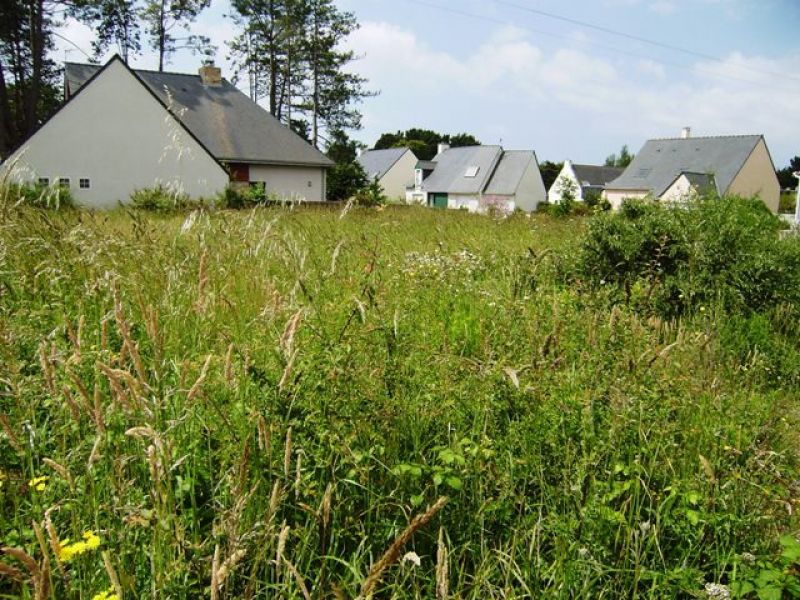 terrain constructible à vendre proche plages et club nautique 548 m² PENESTIN MORBIHAN SUD terrain constructible à vendre proche plages et club nautique 548 m² PENESTIN MORBIHAN SUD
