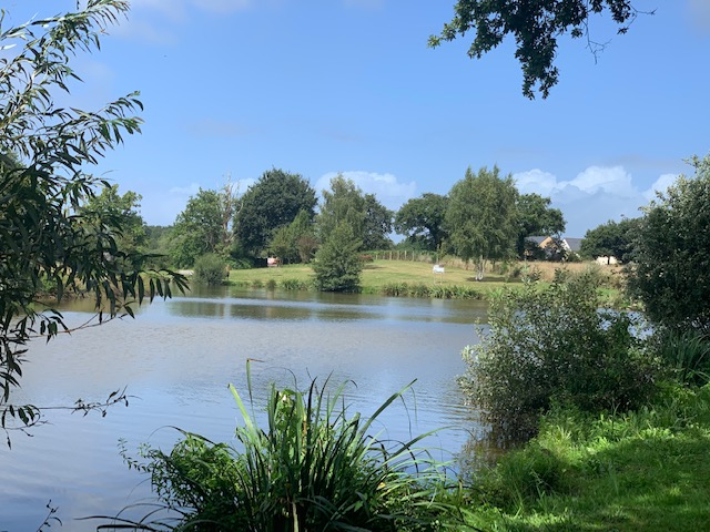 TERRAIN A BATIR DE 709 M² A VENDRE EN LOIRE ATLANTIQUE PROCHE MER TERRAIN A BATIR DE 709 M² A VENDRE EN LOIRE ATLANTIQUE PROCHE MER