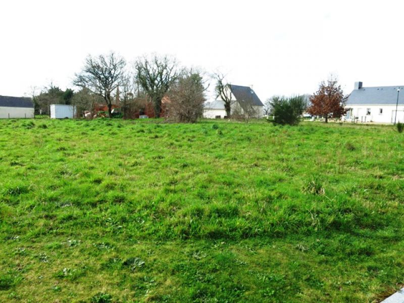 ARZAL-BOURG, en impasse, TERRAIN VIABILISE 510 M², 10 MIN DES PLAGES, BRETAGNE SUD ARZAL-BOURG, en impasse, TERRAIN VIABILISE 510 M², 10 MIN DES PLAGES, BRETAGNE SUD