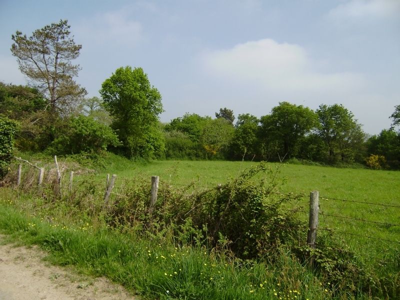 Terrain � b�tir Marzan - 889.00 m2