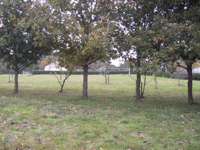 Terrain � b�tir Marzan - 682.00 m2