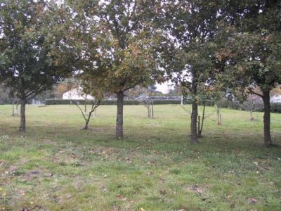 Terrain � b�tir Marzan - 682.00 m2