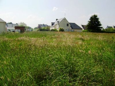 Terrain � b�tir proche voie rapide Nantes-Vannes