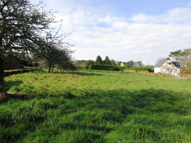 Terrain � b�tir Ferel - 920.00 m2