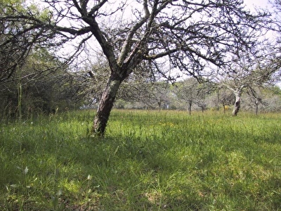 Terrain � b�tir Penestin - 457.00 m2