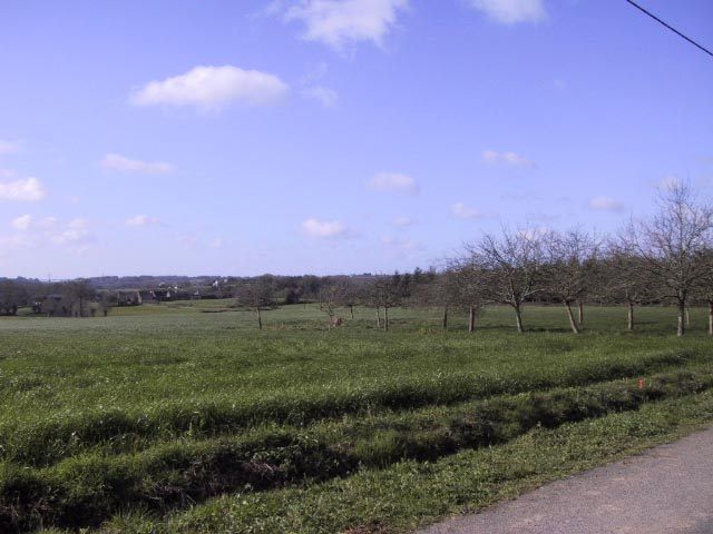 Terrain � b�tir Nivillac - 890.00 m2