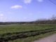 Terrain � b�tir Nivillac - 890.00 m2