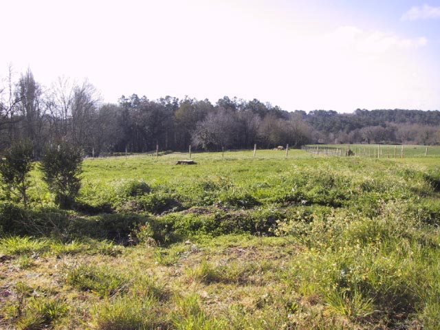 Terrain � b�tir Nivillac - 1185.00 m2