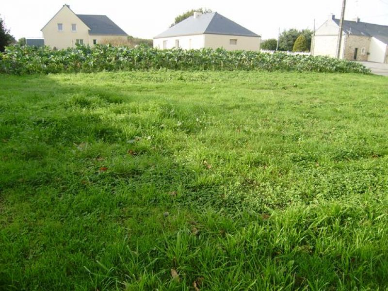 Terrain à bâtir 490 m² a vendre proche LA ROCHE-BERNARD 56130 NIVILLAC Terrain à bâtir 490 m² a vendre proche LA ROCHE-BERNARD 56130 NIVILLAC