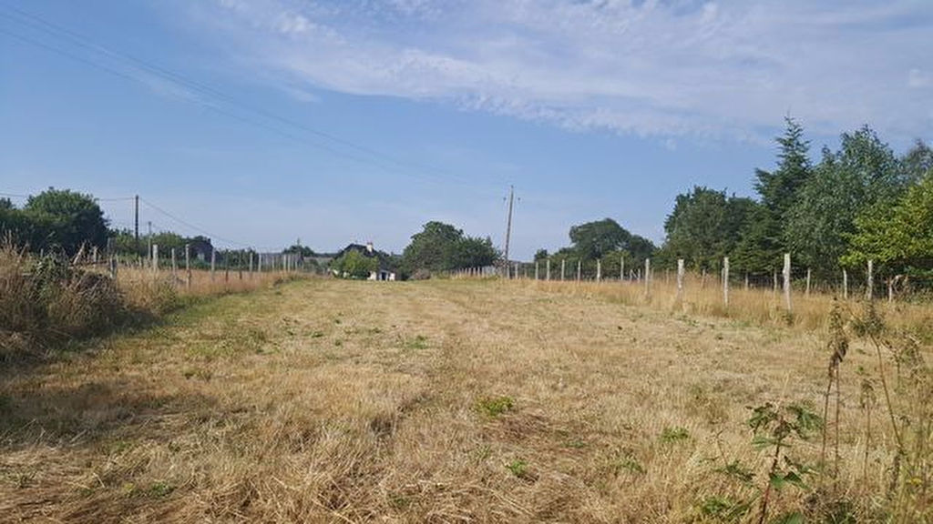 Terrain constructible à vendre 56130 FEREL, hameau proche Vilaine au calme Terrain constructible à vendre 56130 FEREL, hameau proche Vilaine au calme