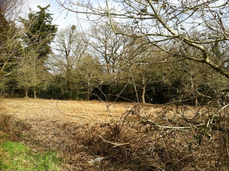 A vendre Terrain 56130 Ferel 736 m2 au calme dans un hameau à proximité de LA ROCHE BERNARD morbihan BRETAGNE SUD A vendre Terrain 56130 Ferel 736 m2 au calme dans un hameau à proximité de LA ROCHE BERNARD morbihan BRETAGNE SUD