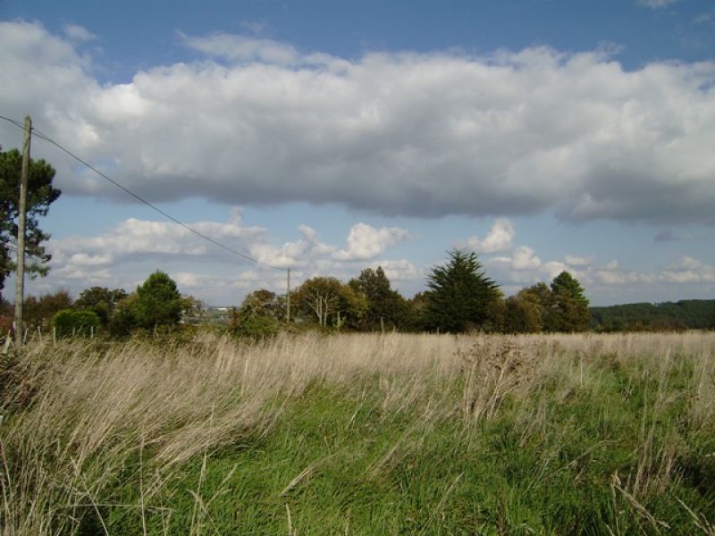 Terrain Nivillac