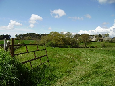 Terrain Saint Dolay