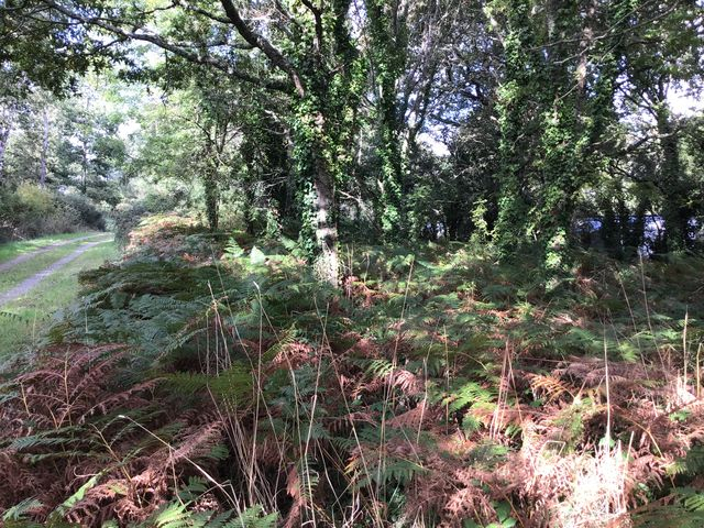 Terrain de loisirs viabilisé de 591 m² à vendre Penestin MORBIHAN SUD Terrain de loisirs viabilisé de 591 m² à vendre Penestin MORBIHAN SUD