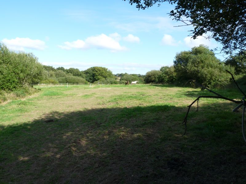 guilers,terrain de 8000m2 environ pour chevaux
