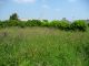 Terrain Plougonvelin