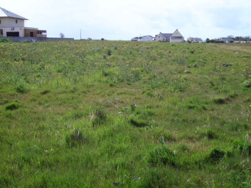 Terrain � b�tir Plougonvelin - 1239.00 m2