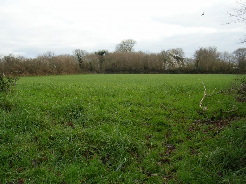 Terrain Plouzane