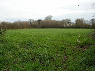 Terrain Plouzane